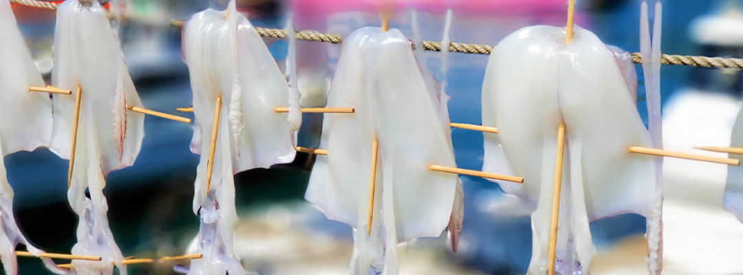 こだわりの干物